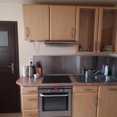 Apartament Czarny Potok Krynica Zdroj Eksteriør bilde
