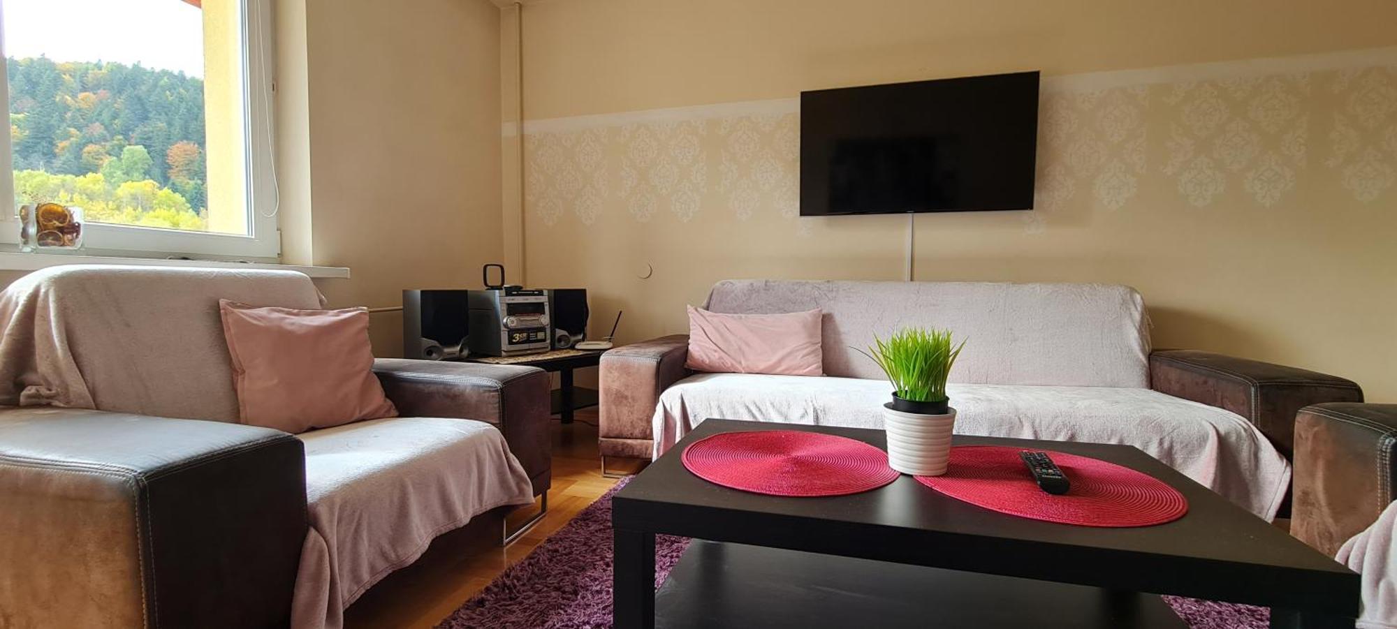 Apartament Czarny Potok Krynica Zdroj Eksteriør bilde